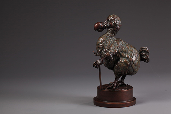 Rachel Talbot Dodo