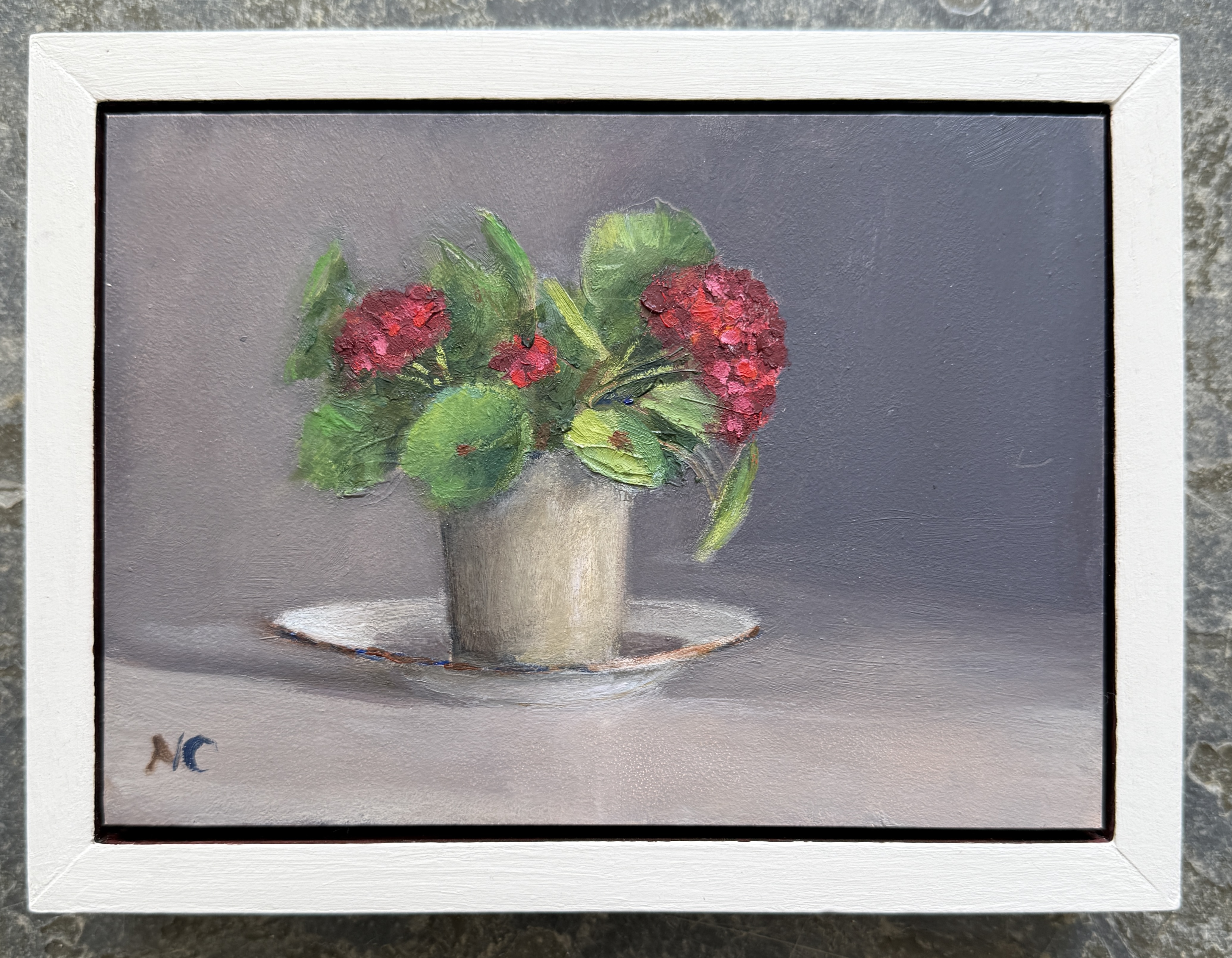 Nellie Crawford Geraniums 