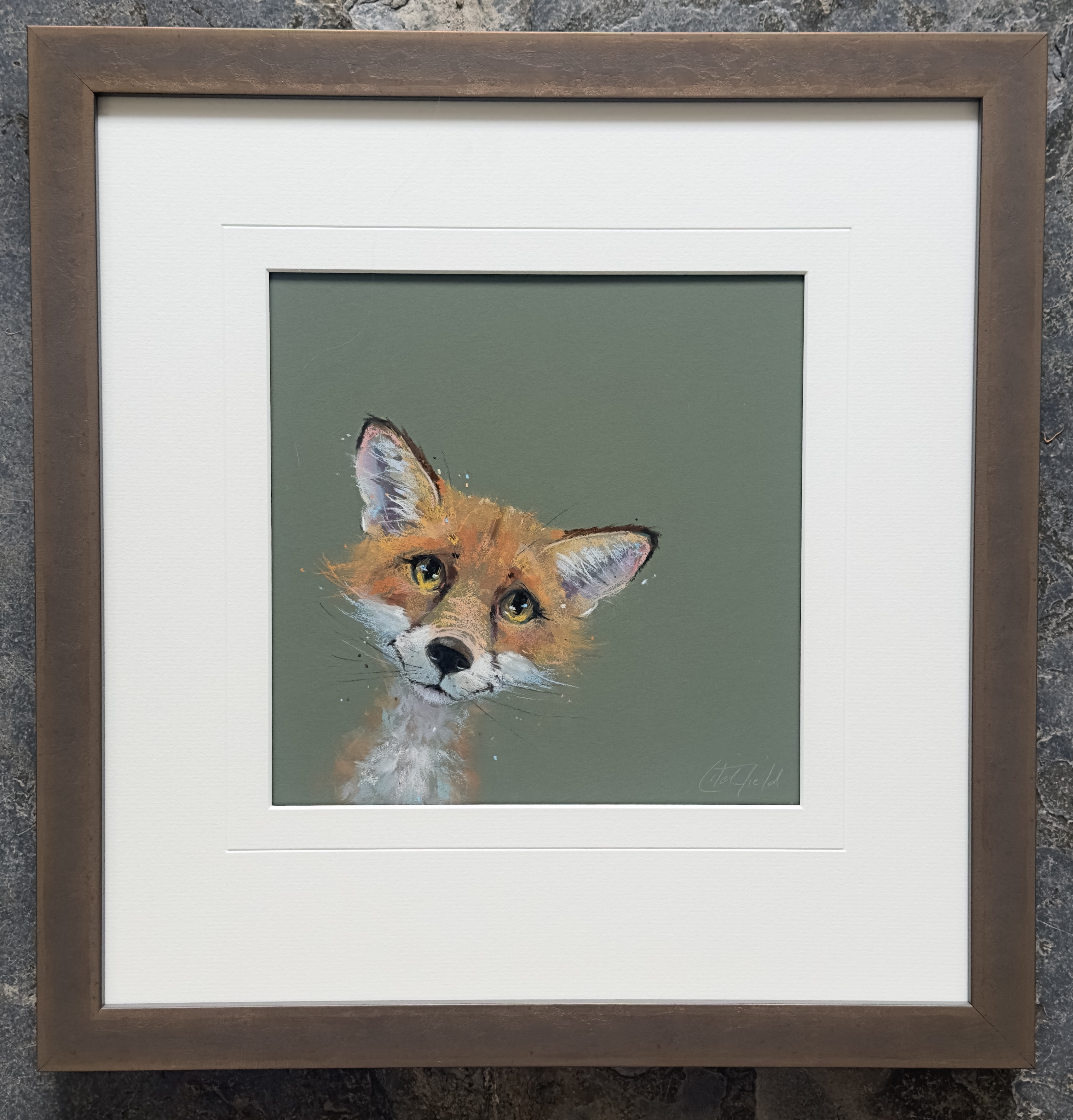 Nicky Litchfield Fergus Fox