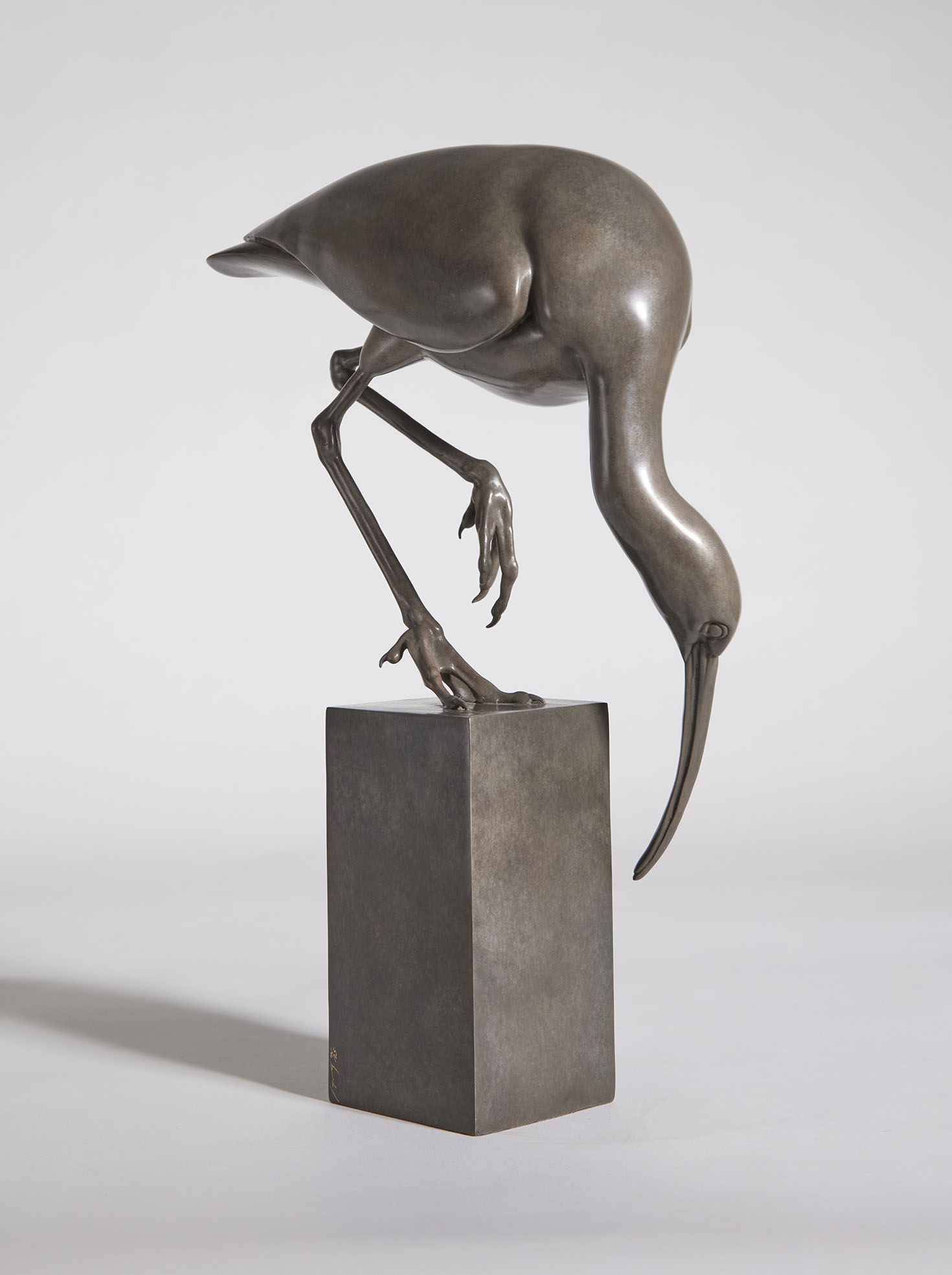Carl Longworth Ibis