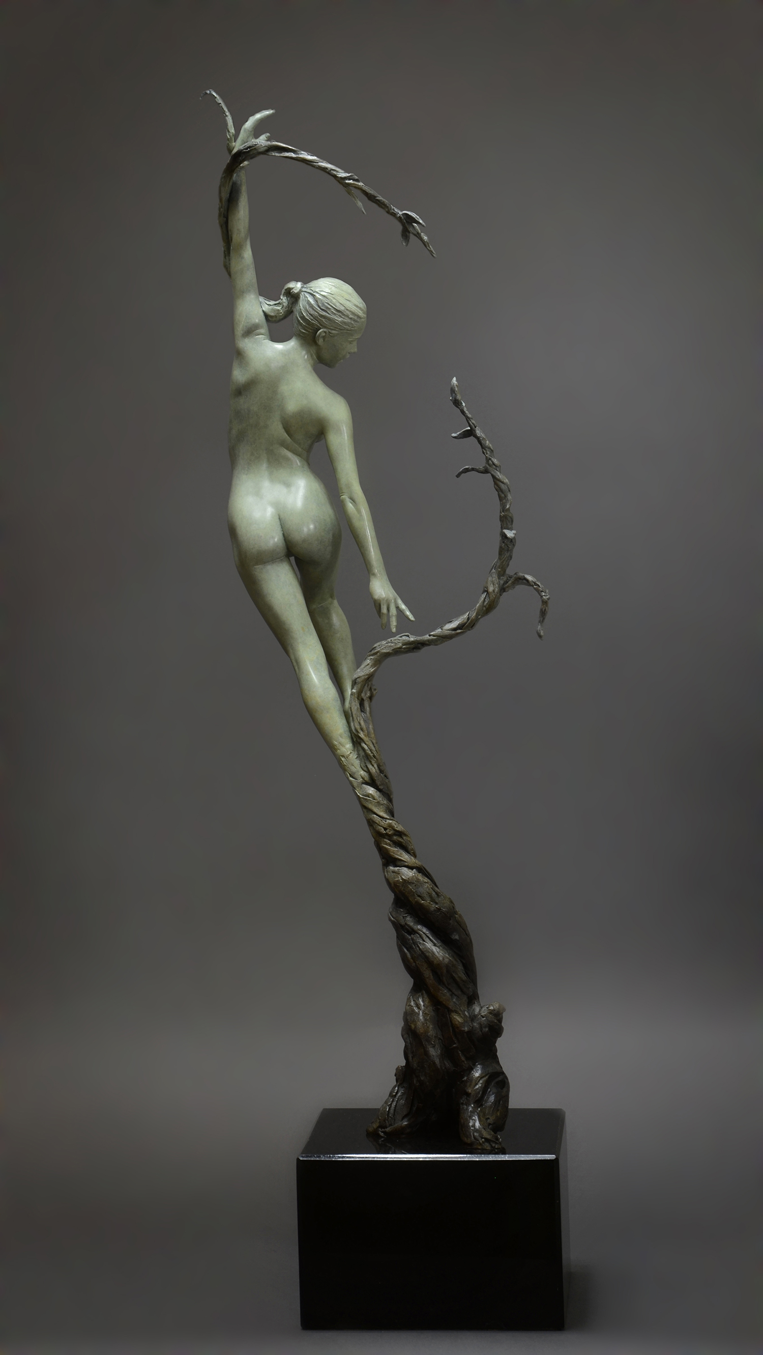 Neil Welch Natures Grace