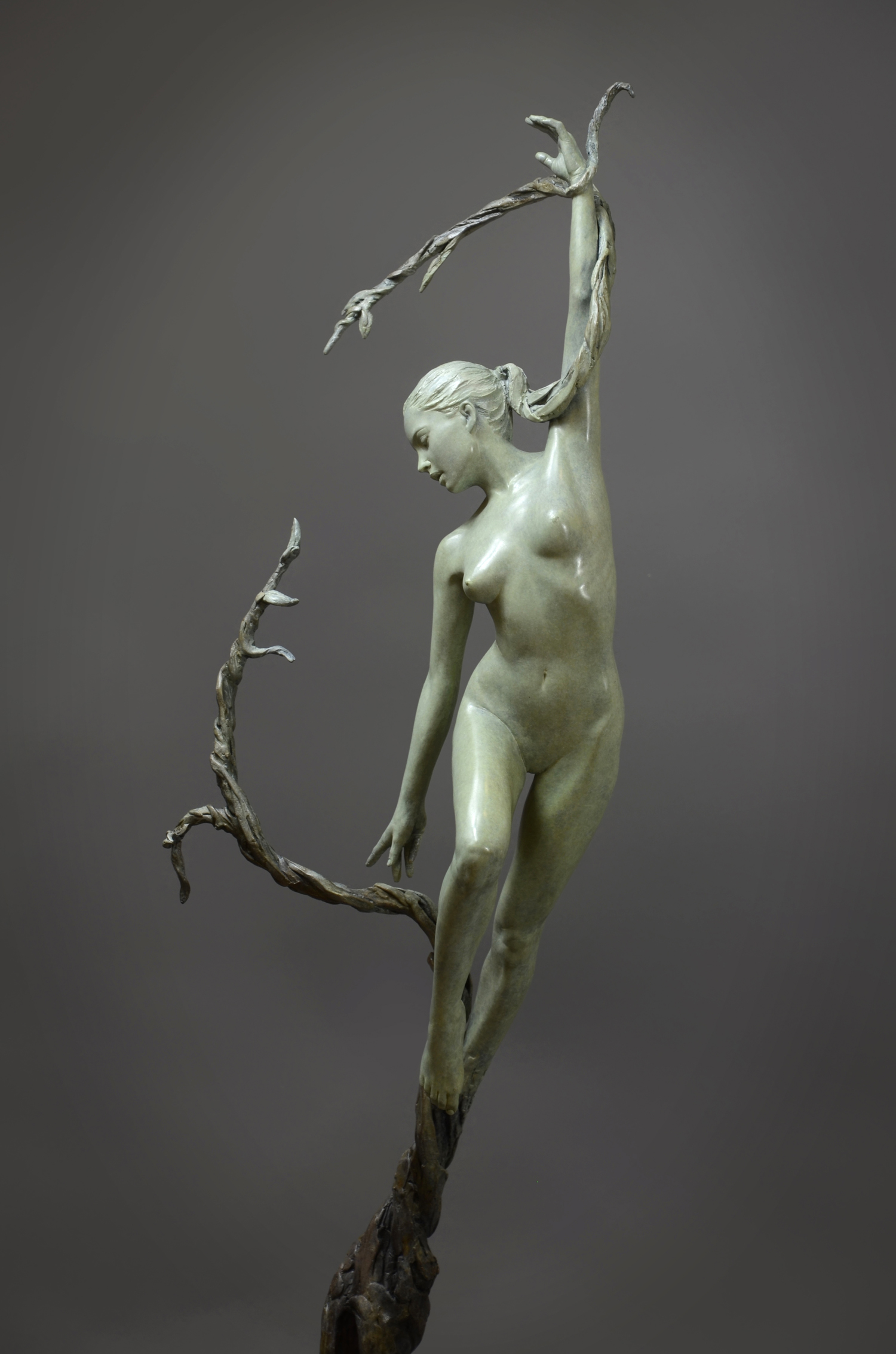 Neil Welch Natures Grace