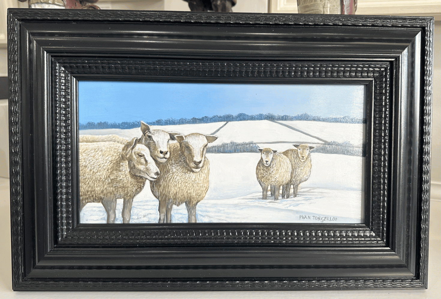 Peter  Van Tongerloo Snow & Sheep
